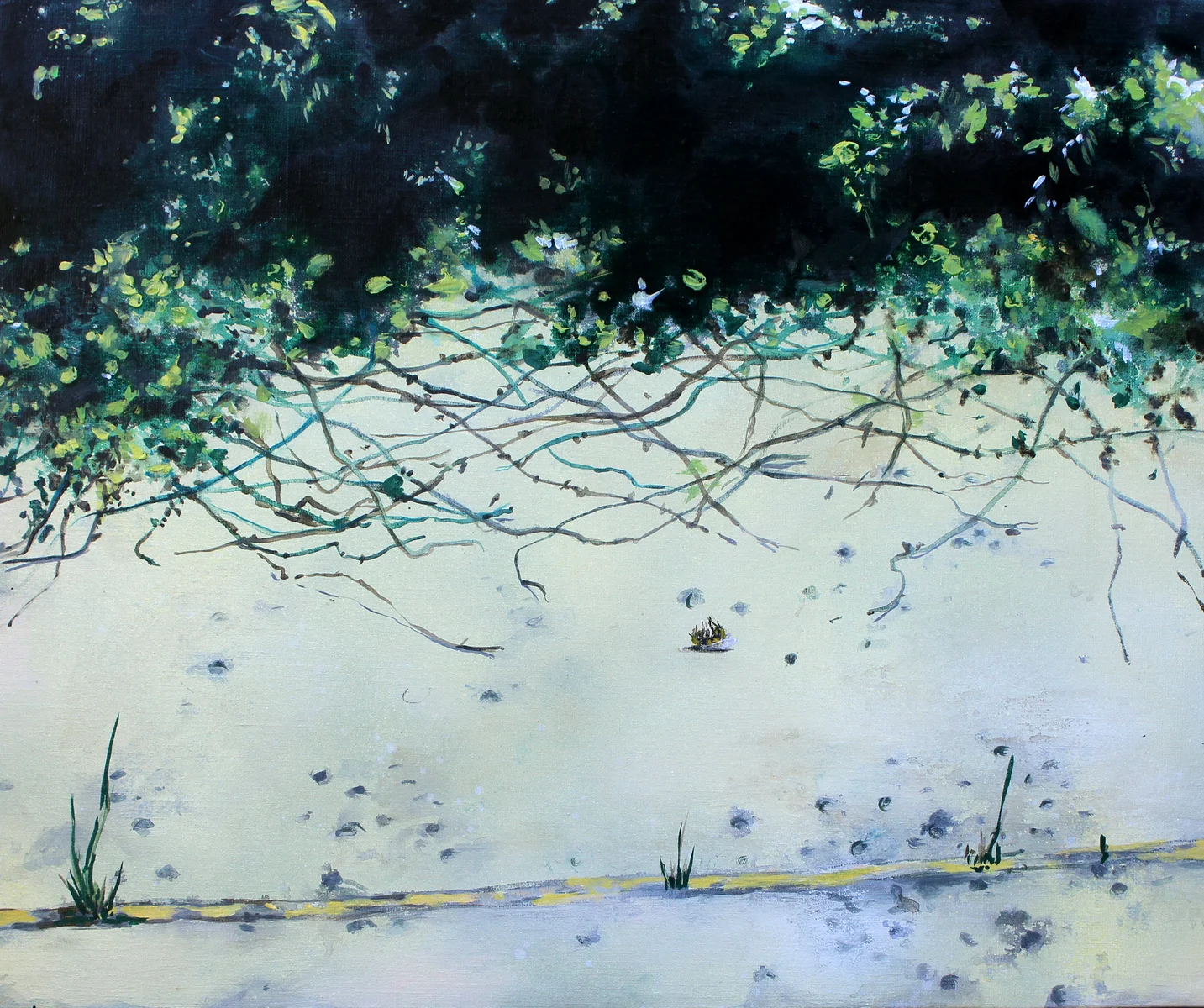 Kristína Mésároš - Schemnitz Gallery | let it bee acrylic on canvas 60x50cm 2017.jpg