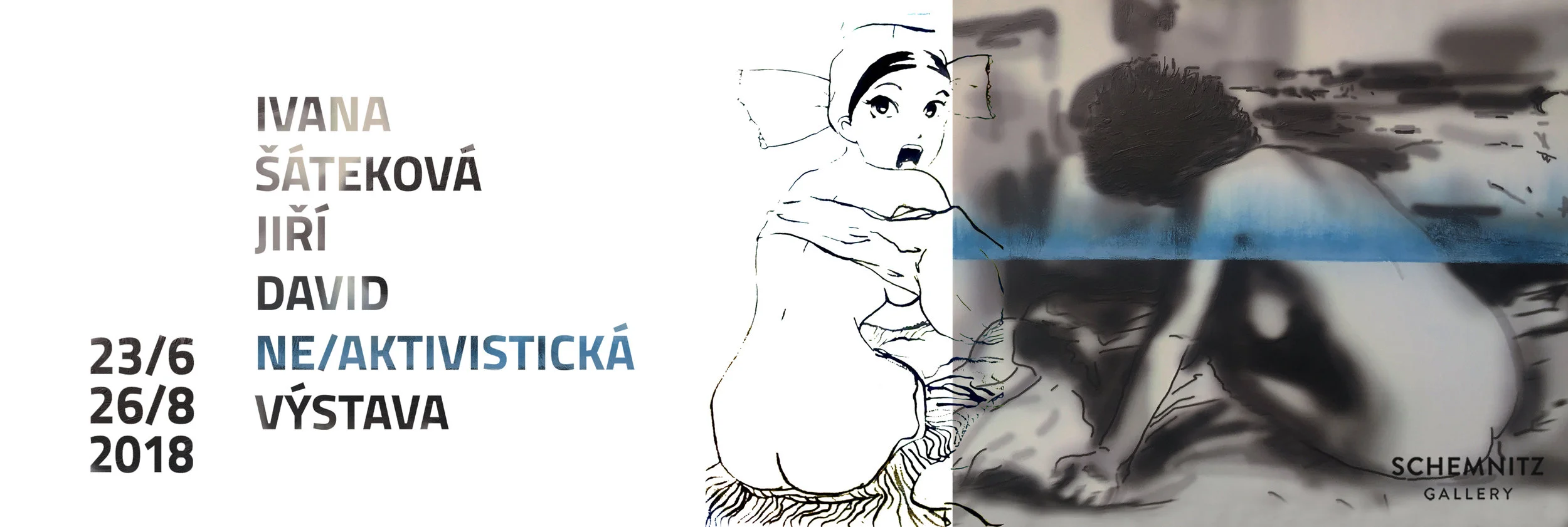 cover_d_š.jpg