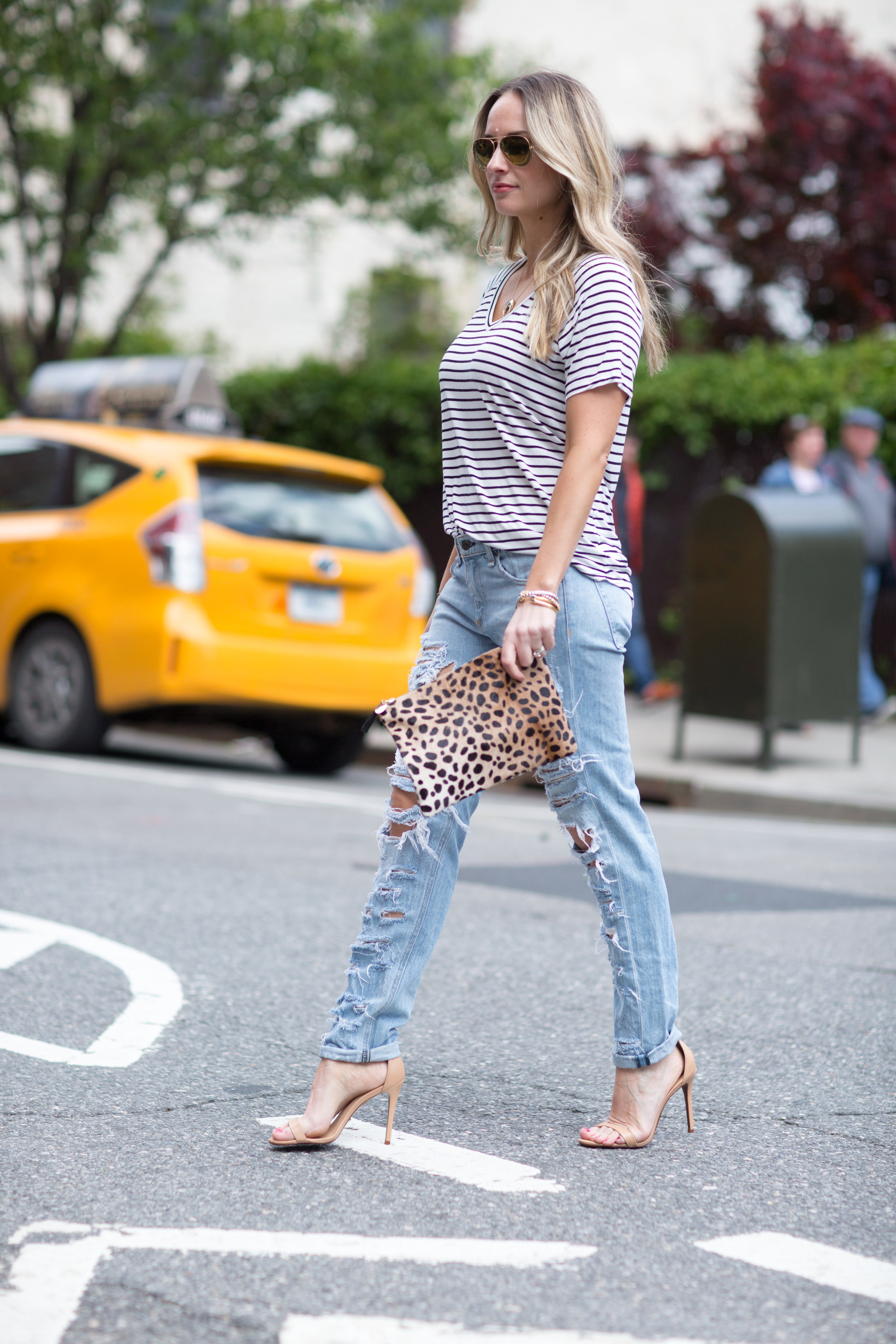 leopard clare v. clutch