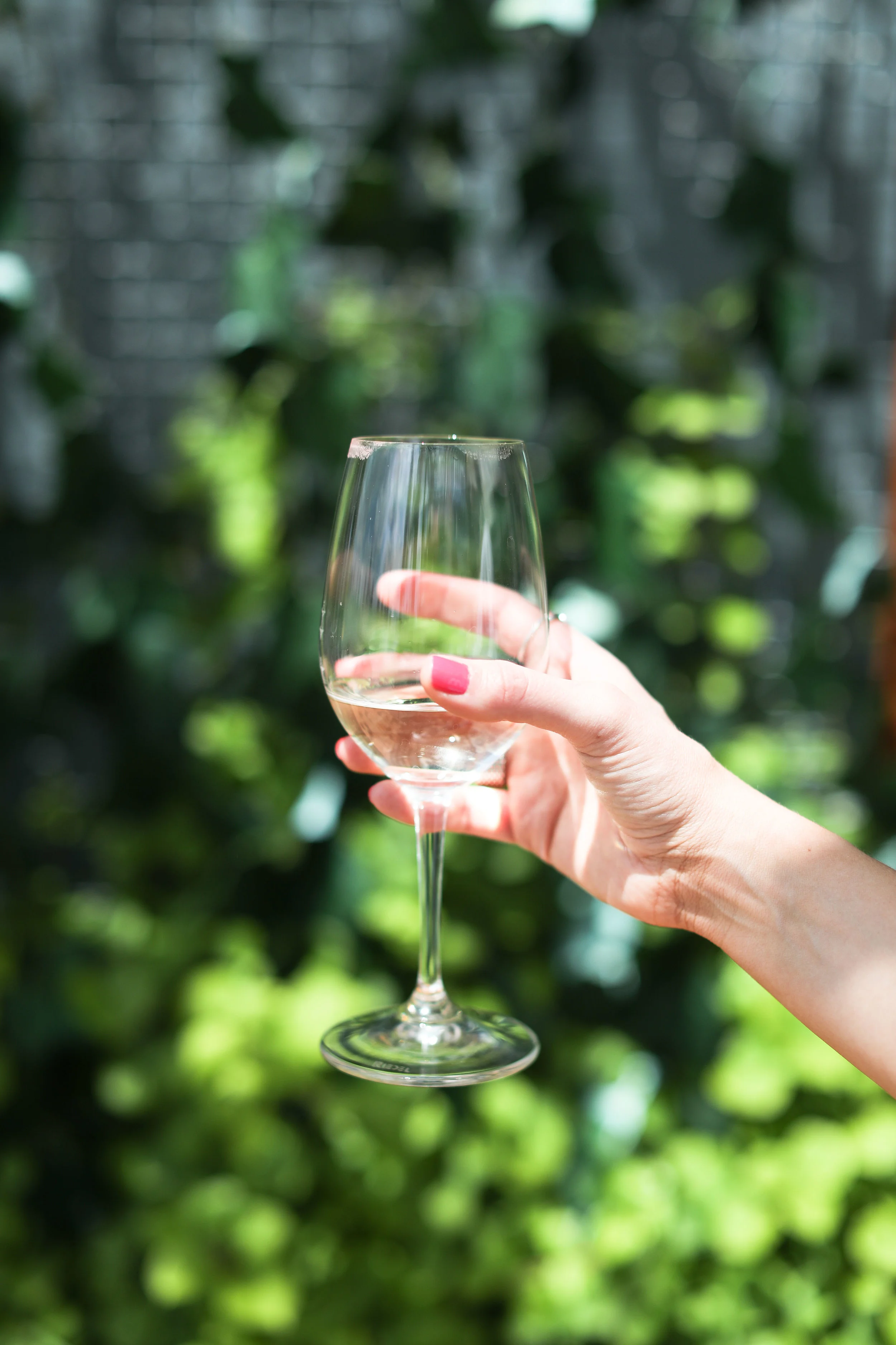 white wine 