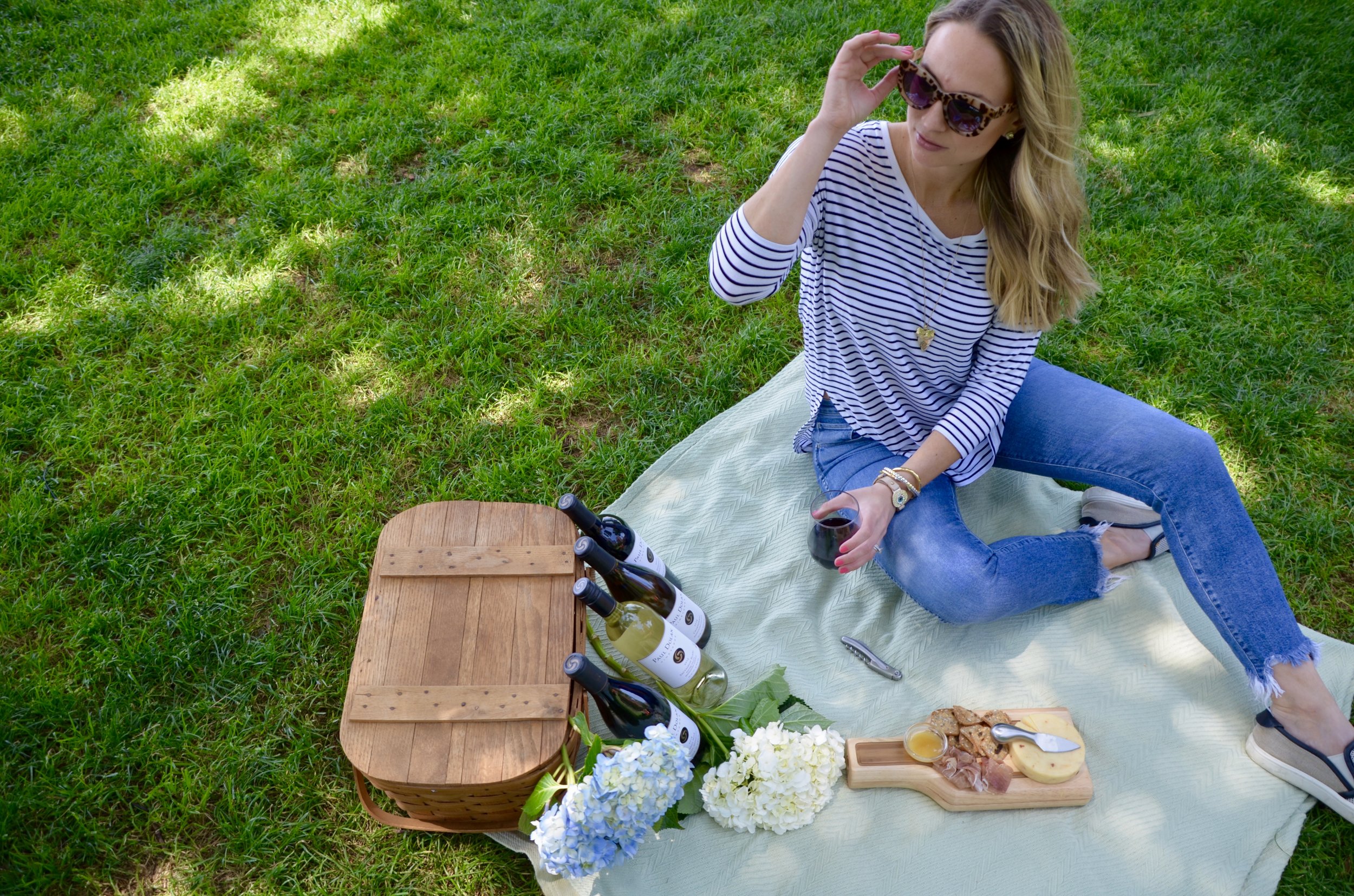 wine & cheese picnic with paul dolan