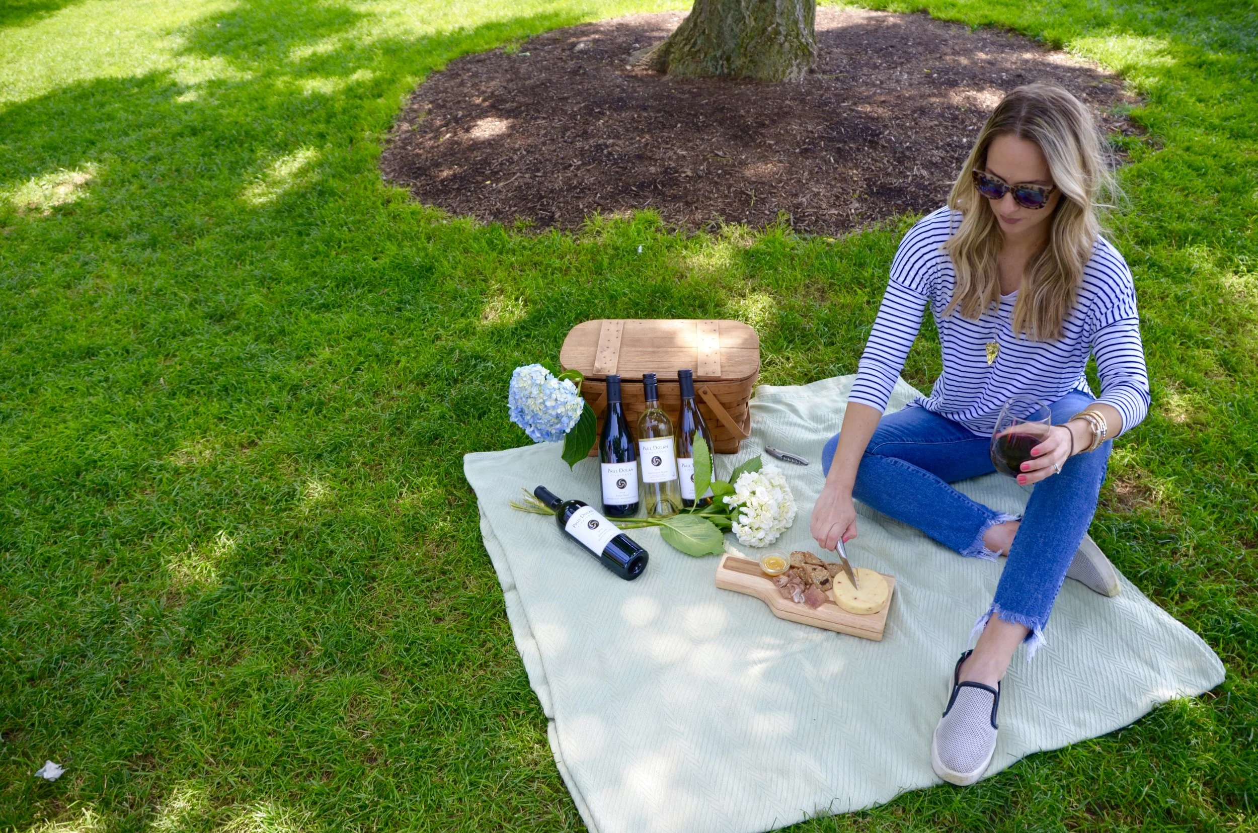picnic and wine