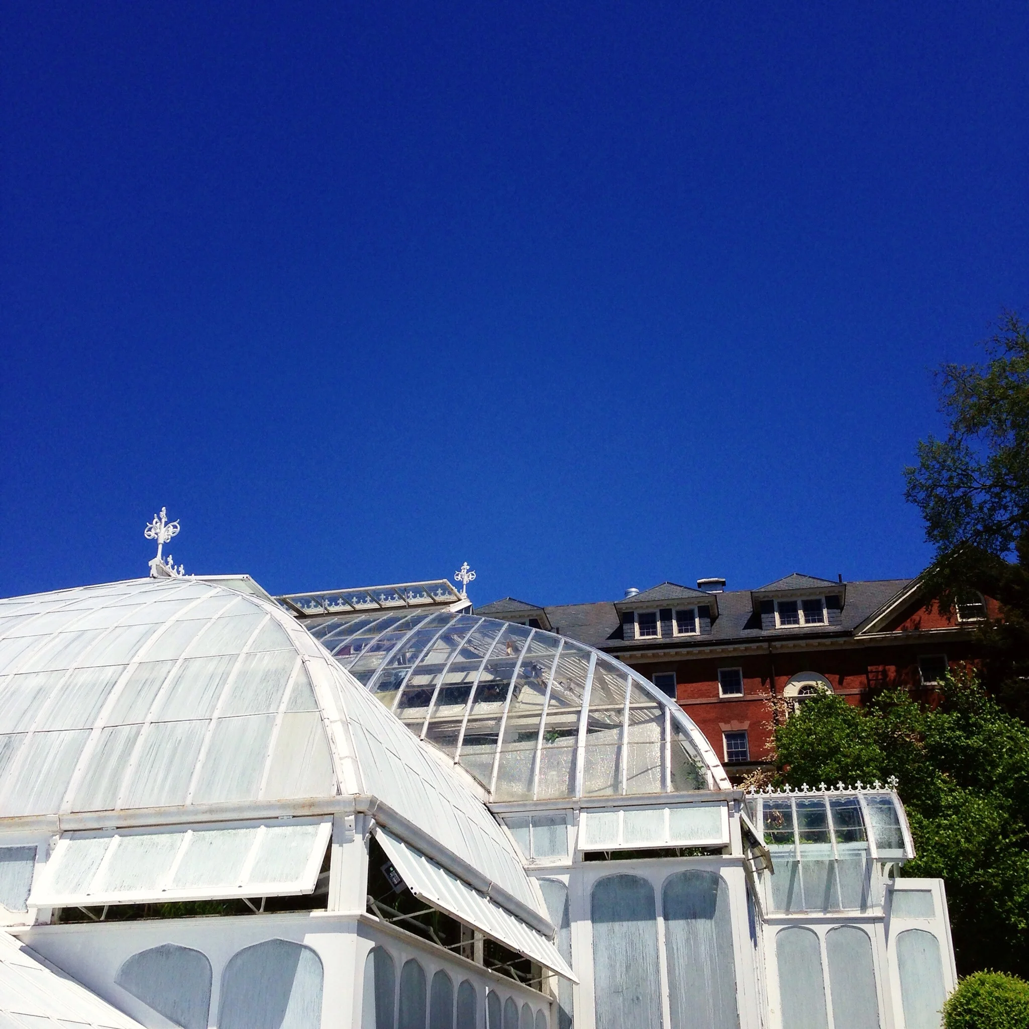 I was so taken by the greenhouse in the Smith College gardens.