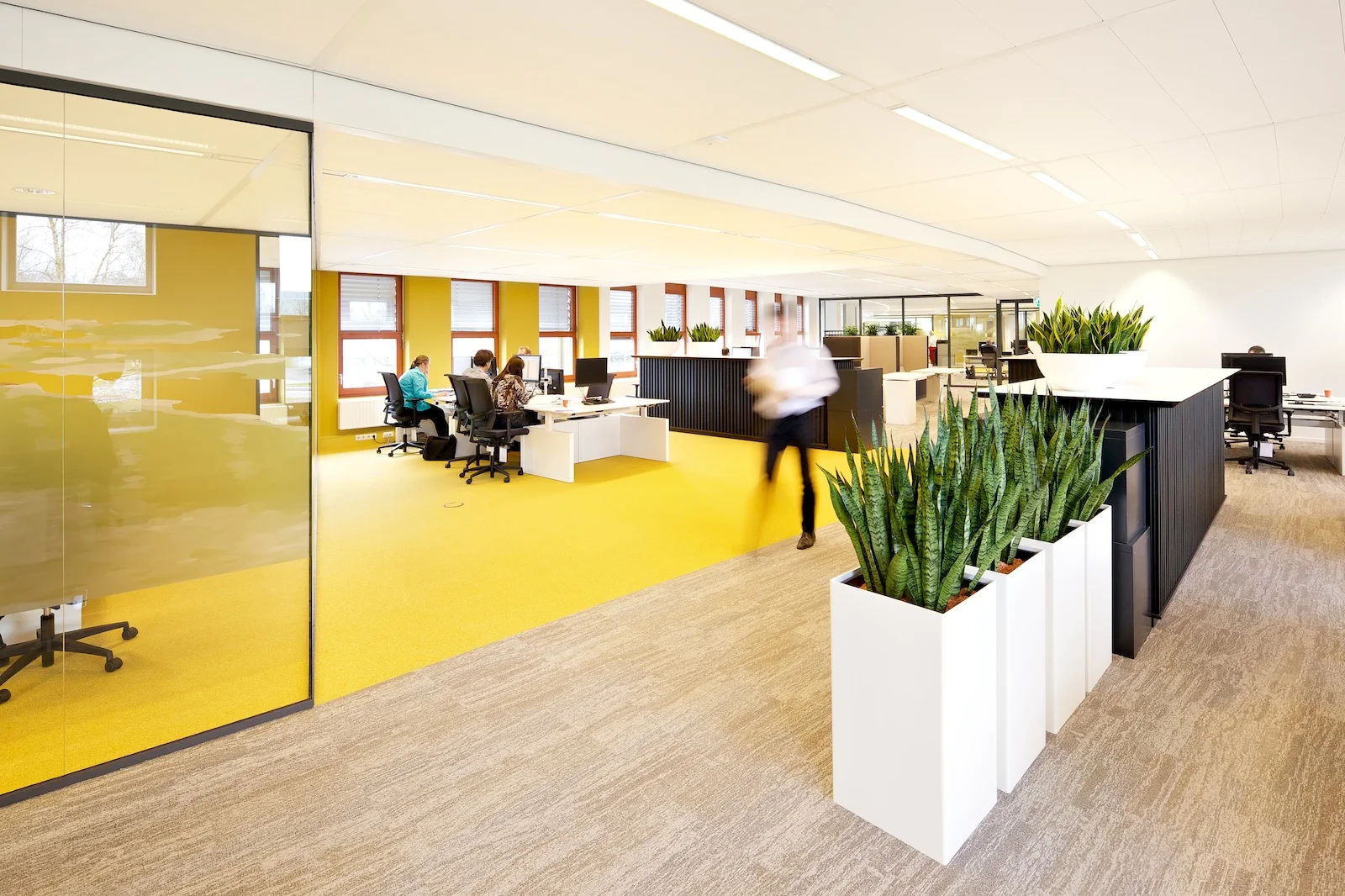 v-ardini-2012-imarch-waterschap-05.jpg