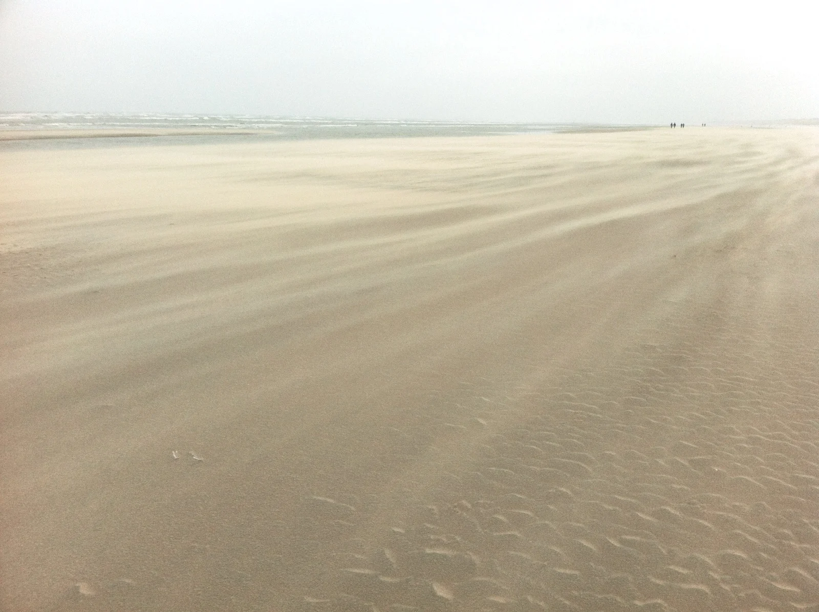 v-ardini-beach1.jpg
