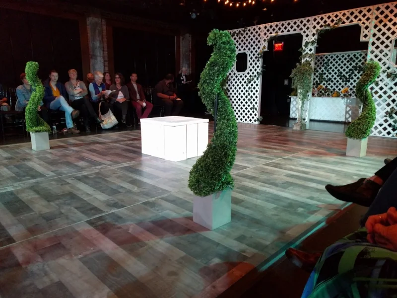 In my seat for Shakespeare in Detroit’s Twelfth Night at the Detroit Opera House.