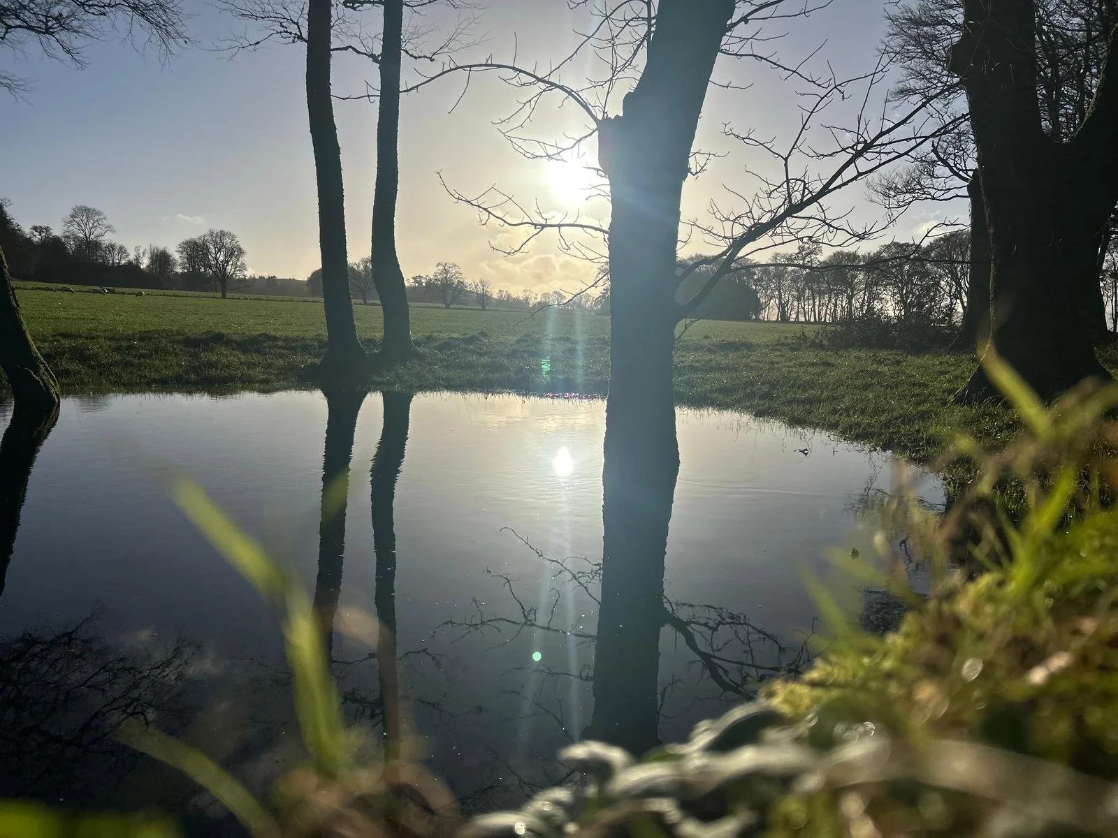 PHOTO-2025-11-08-15-30-47 3.jpg