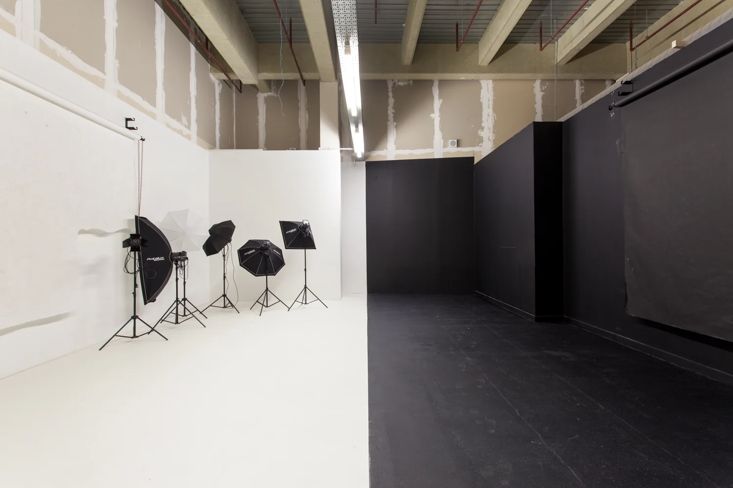 The Studio