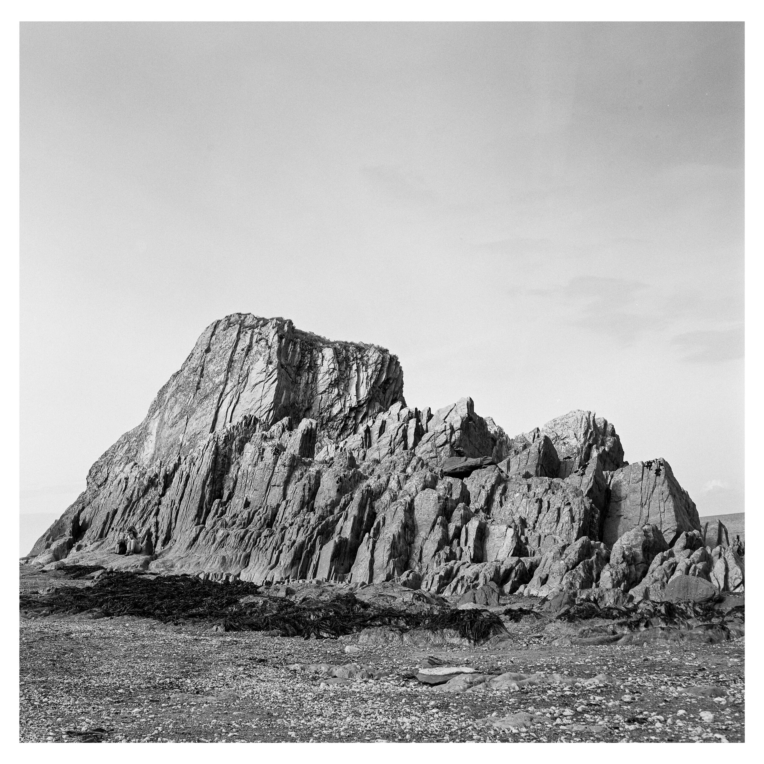 lee-5.jpg