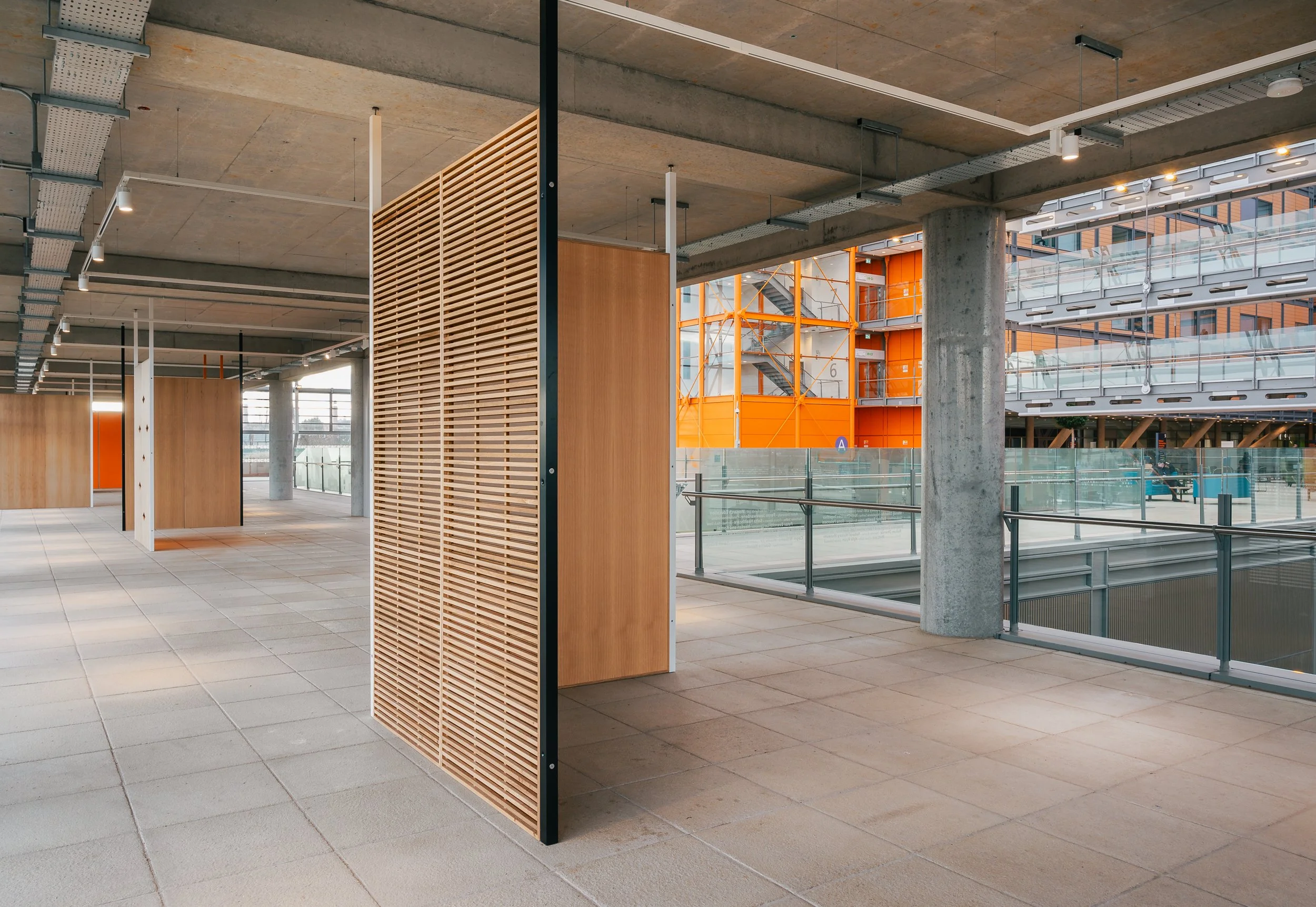 _DSC9817.jpg