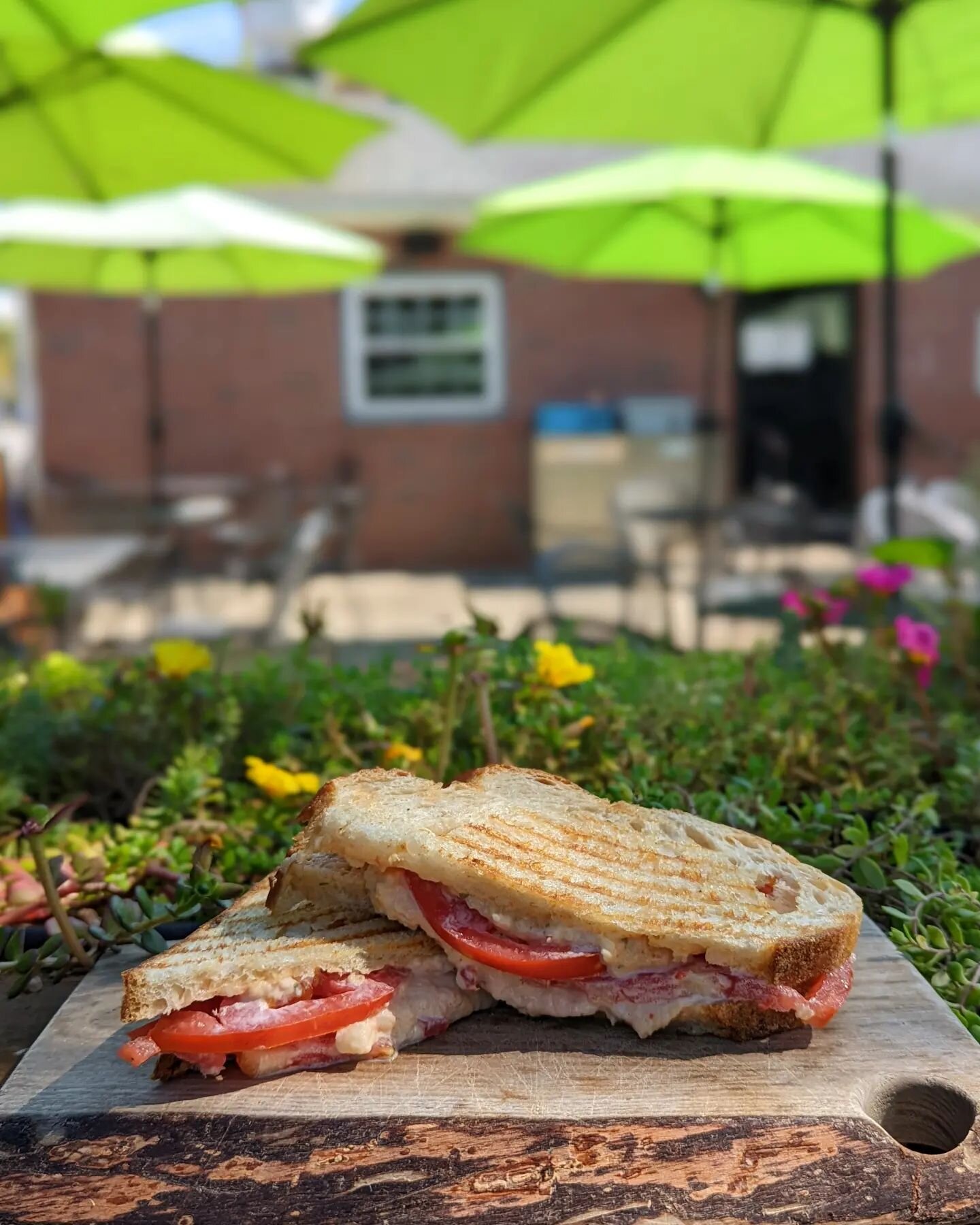 Happy Monday everyone! This week's meatless monday special is the Pimento Panini! It comes with house-made pimento cheese and locally grown tomatoes, panini-pressed on @dclyonbakery sourdough bread. Our soups of the moment are Creamy Tomato, and Chic
