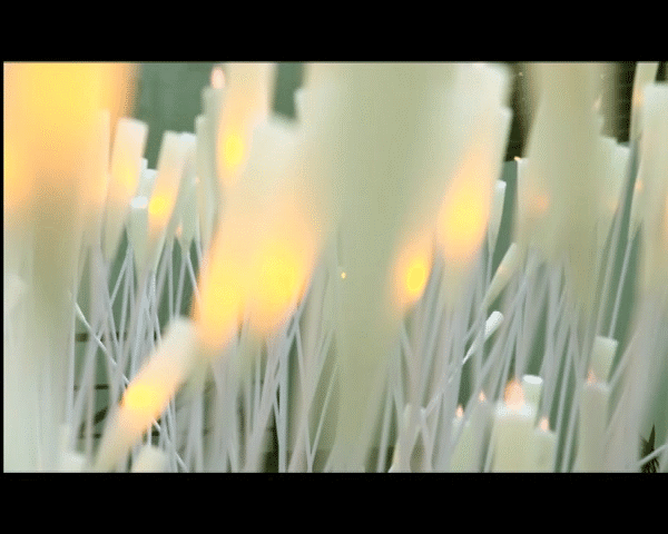 show.gif