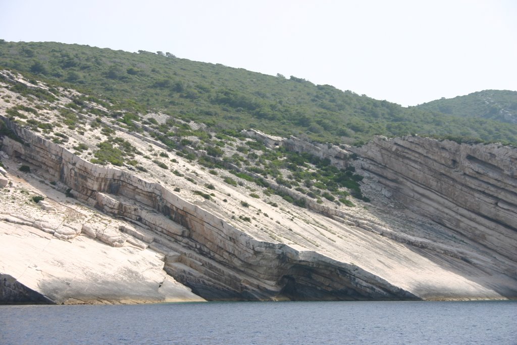 3896354.jpg