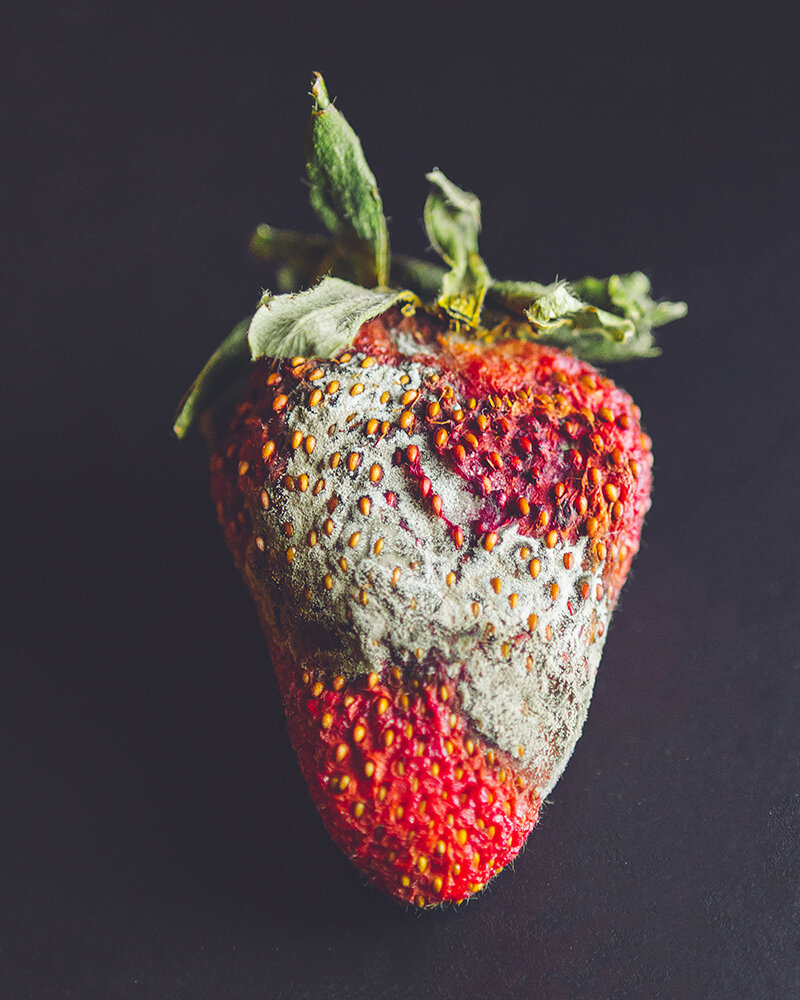 06-03-2020 - Moldy Strawberry (6).jpg