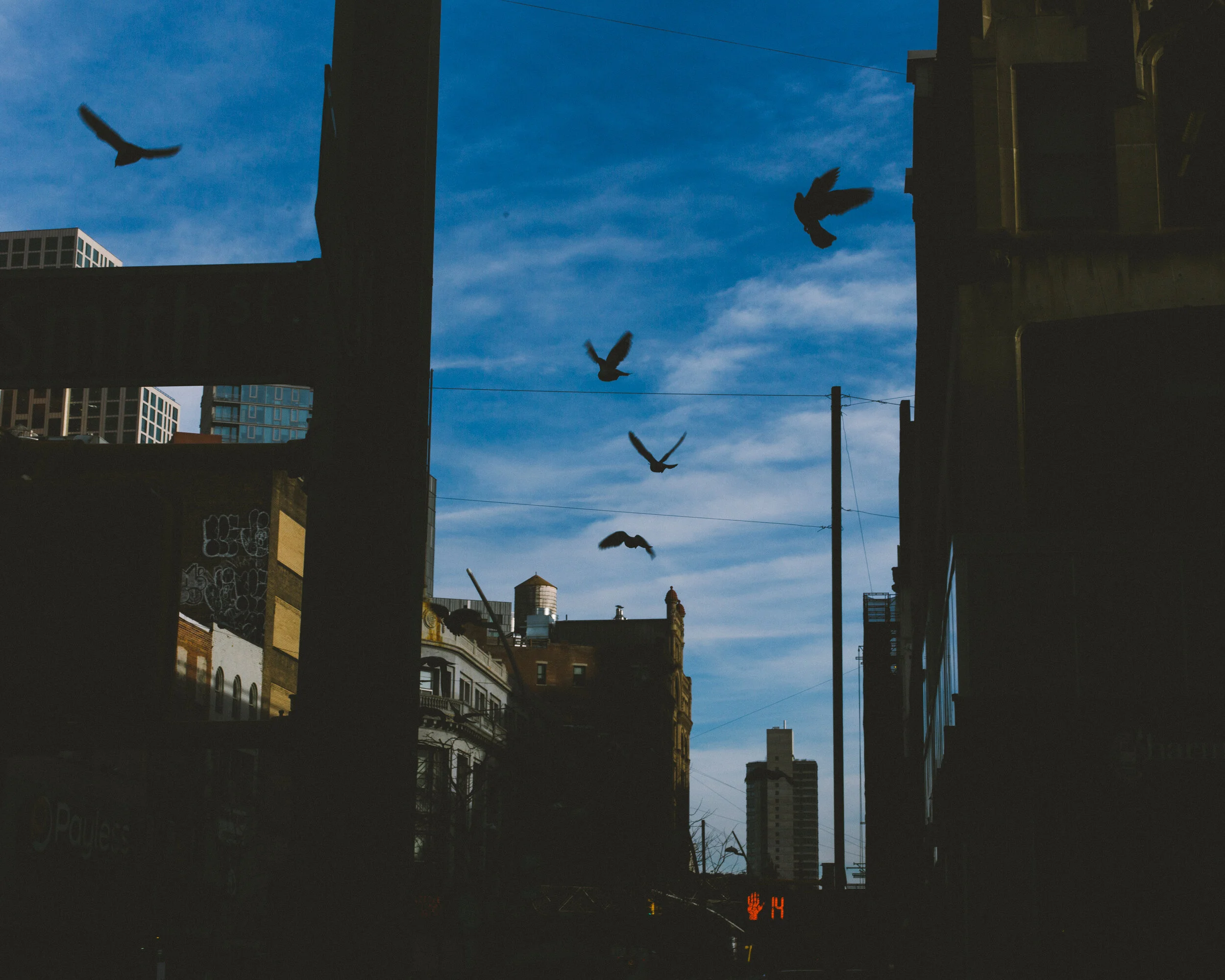 The Birds & Shadows 16x20.jpg
