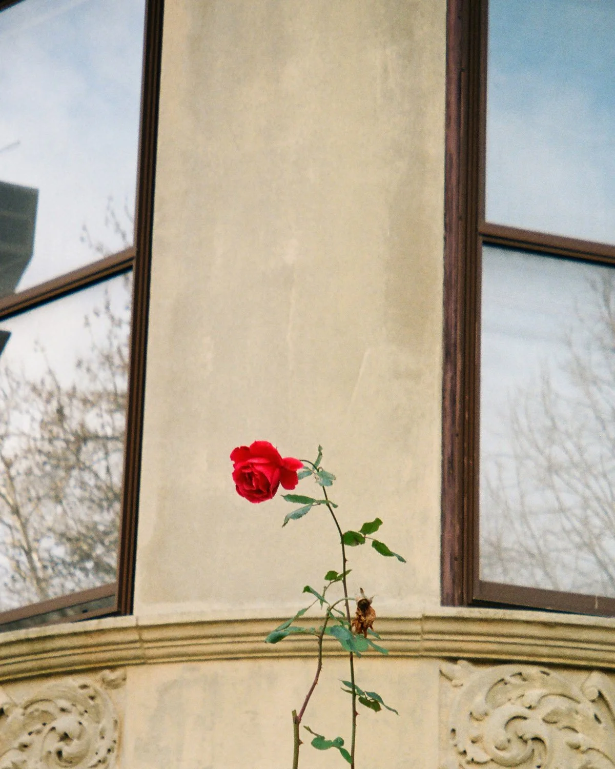Canon Sure Shot Z180u Roll 3 (Kodak Gold 200) (12).jpg