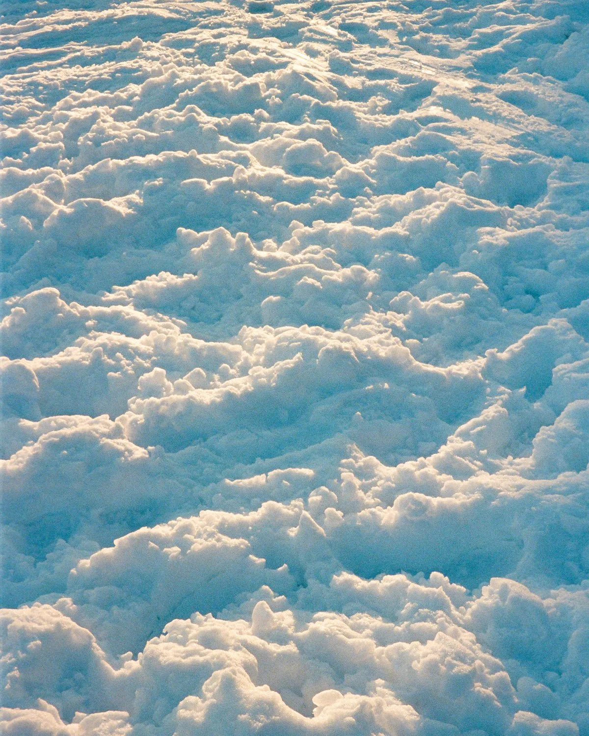 Fuji Discovery roll 3 (Kodak Ultramax 400) - 16.jpg