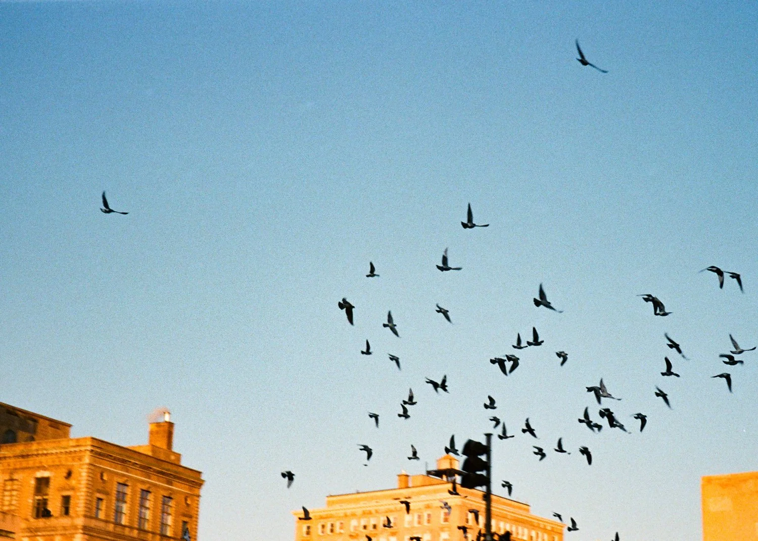 Fuji Discovery roll 3 (Kodak Ultramax 400) - 19 5x7.jpg