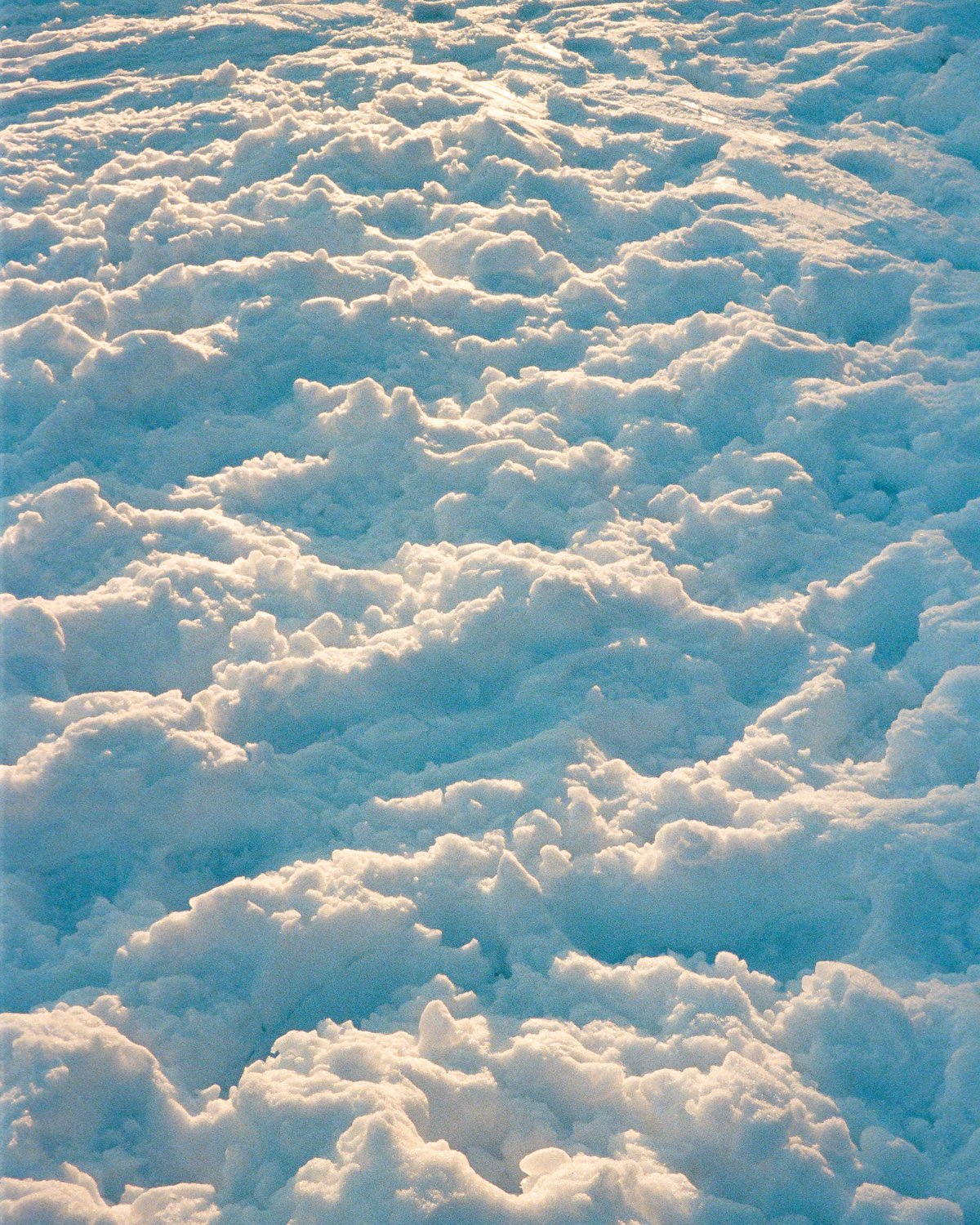 Fuji Discovery roll 3 (Kodak Ultramax 400) - 16.jpg