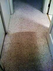 imageshallway before & after.jpg