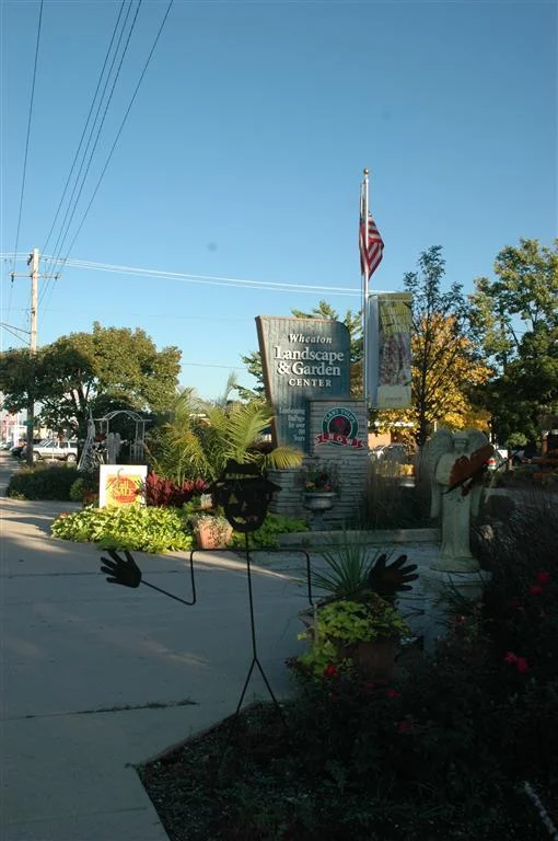 july4th 2008-2009 332 (medium).jpg