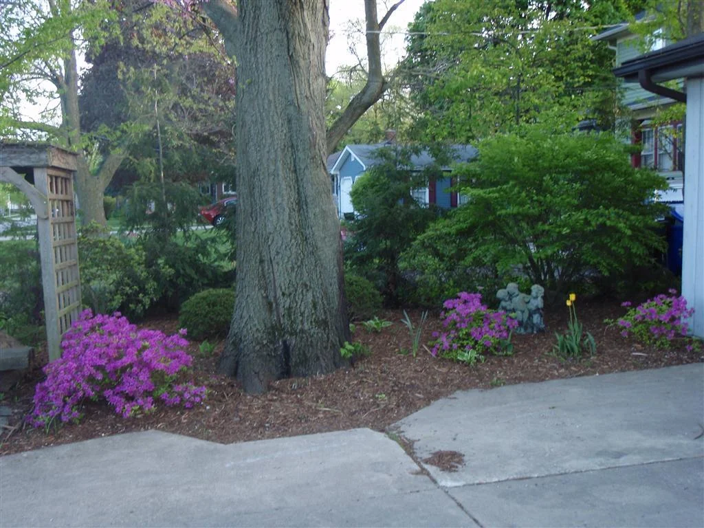 p4260770 (medium).jpg