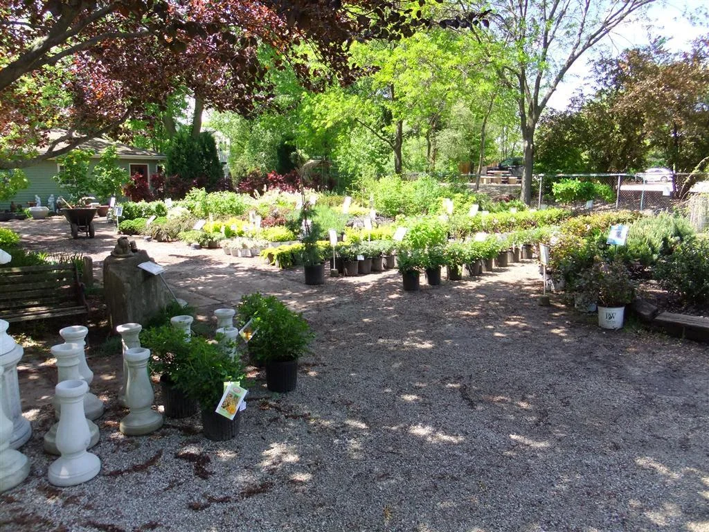 dscf0037 (medium).jpg