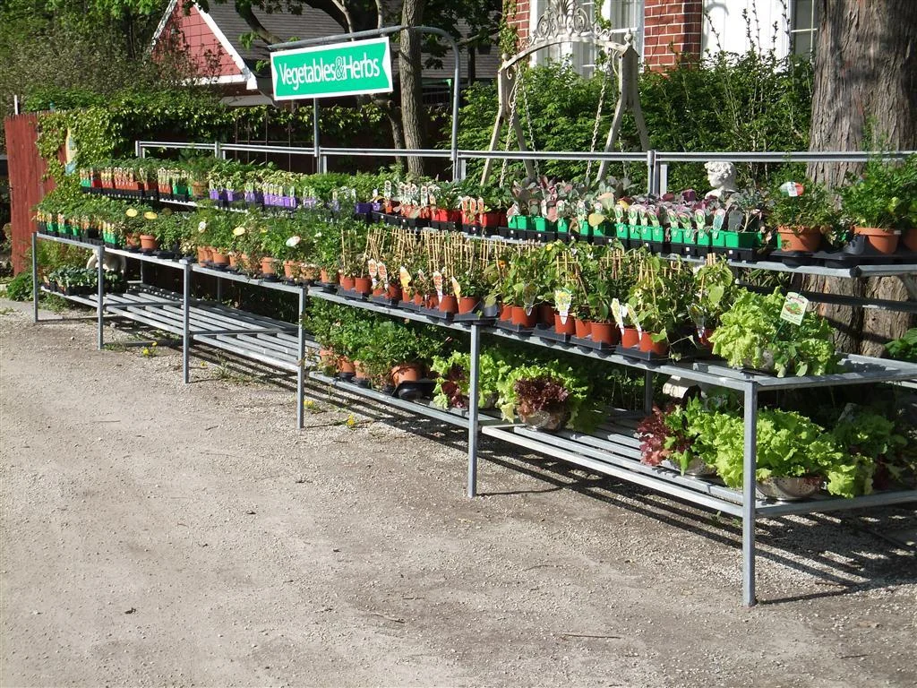 dscf0007 (medium).jpg