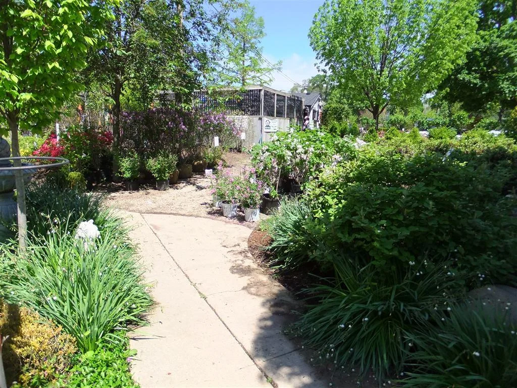 dscf0032 (medium).jpg