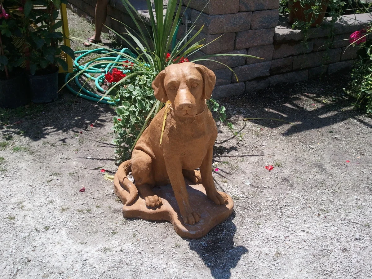 2012-06-03 12.29.16.jpg
