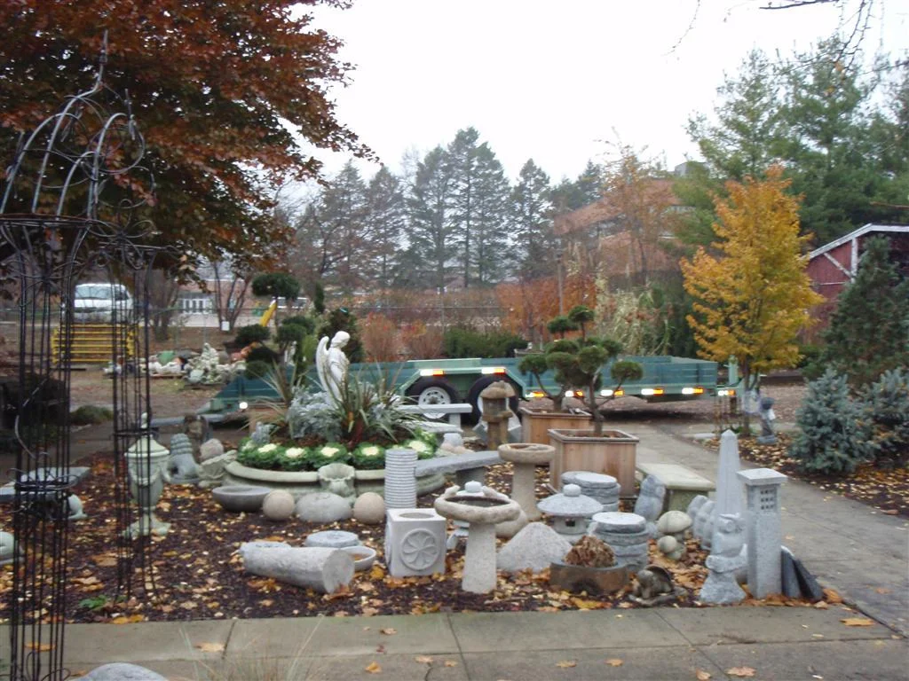 pb190010 (medium).jpg