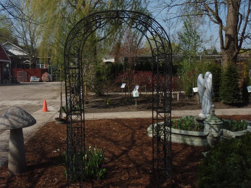 p4130735 (medium).jpg