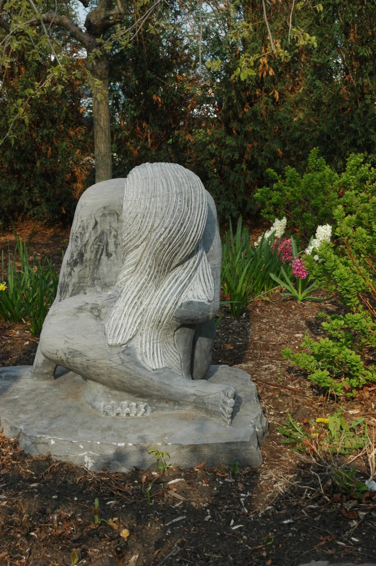 dsc_0179.jpg