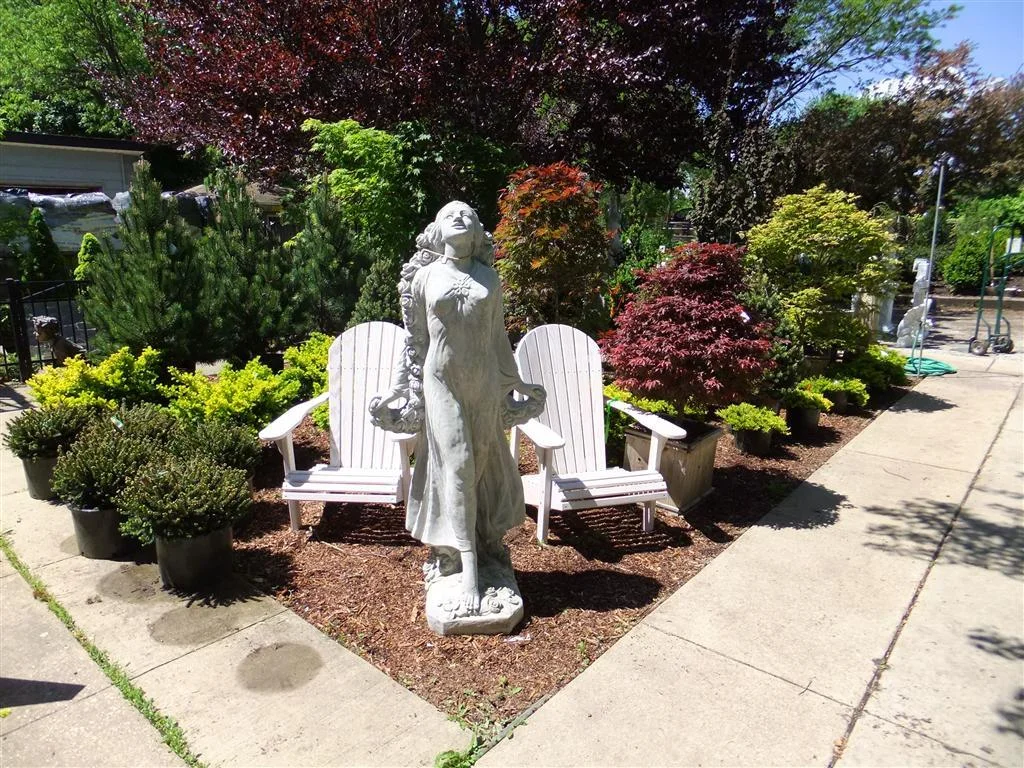 dscf0036 (medium).jpg