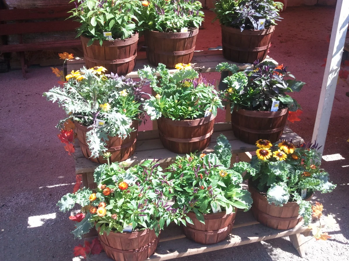 2012-09-15 13.16.44.jpg