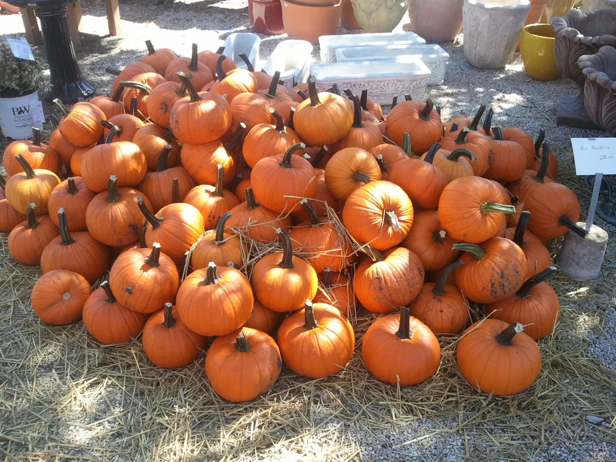 2012-09-15 13.35.13.jpg