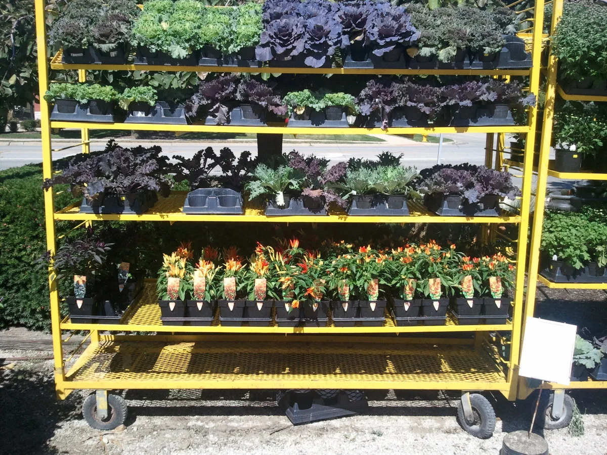 2012-09-15 13.17.36.jpg