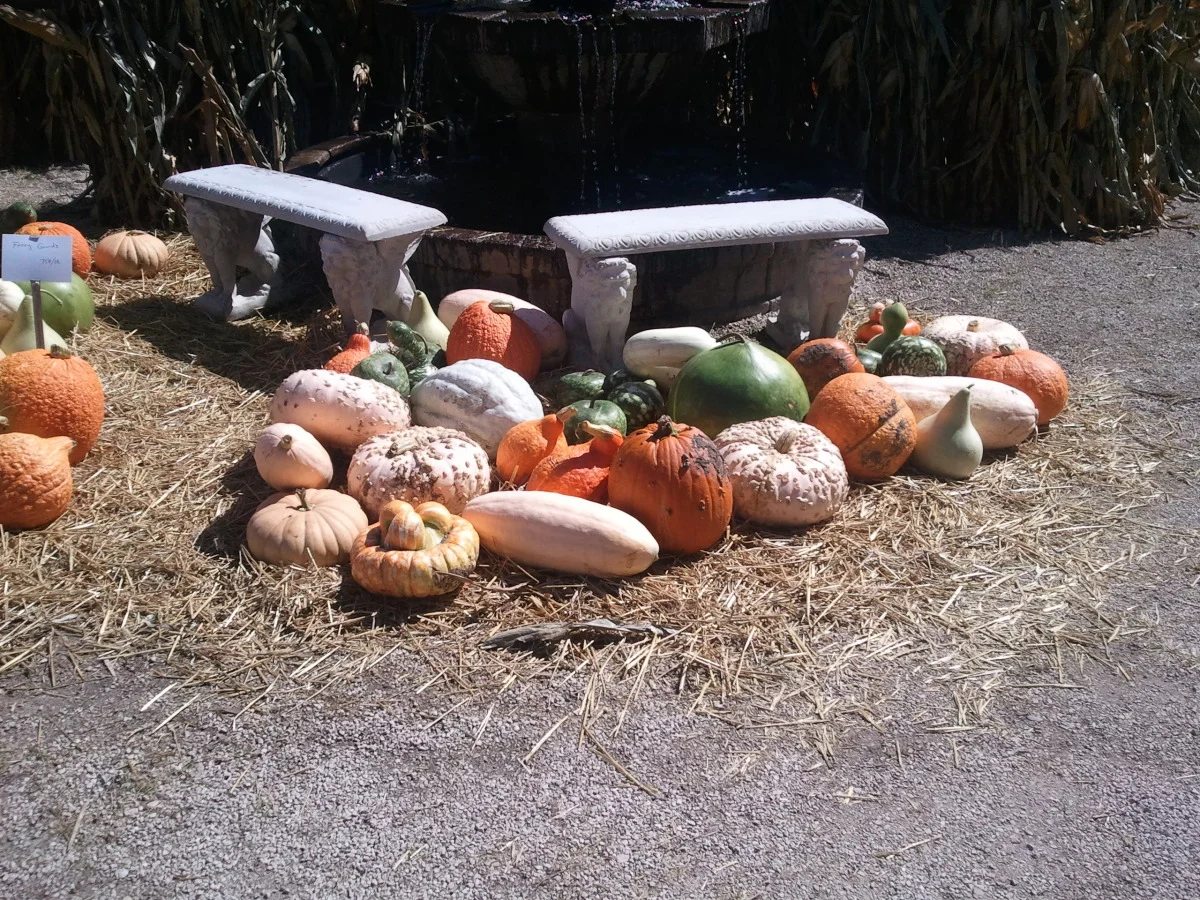 2012-09-15 13.20.06.jpg