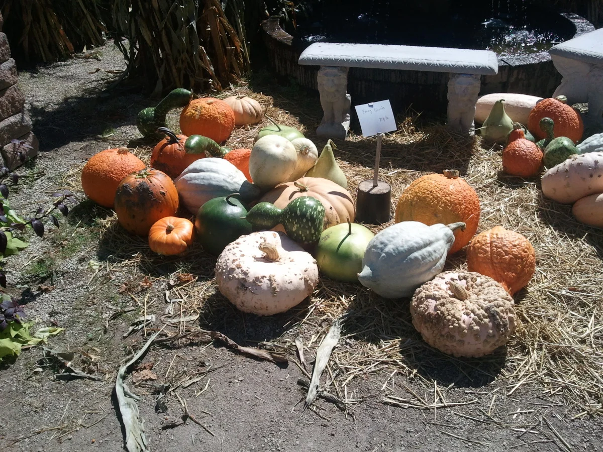 2012-09-15 13.20.12.jpg