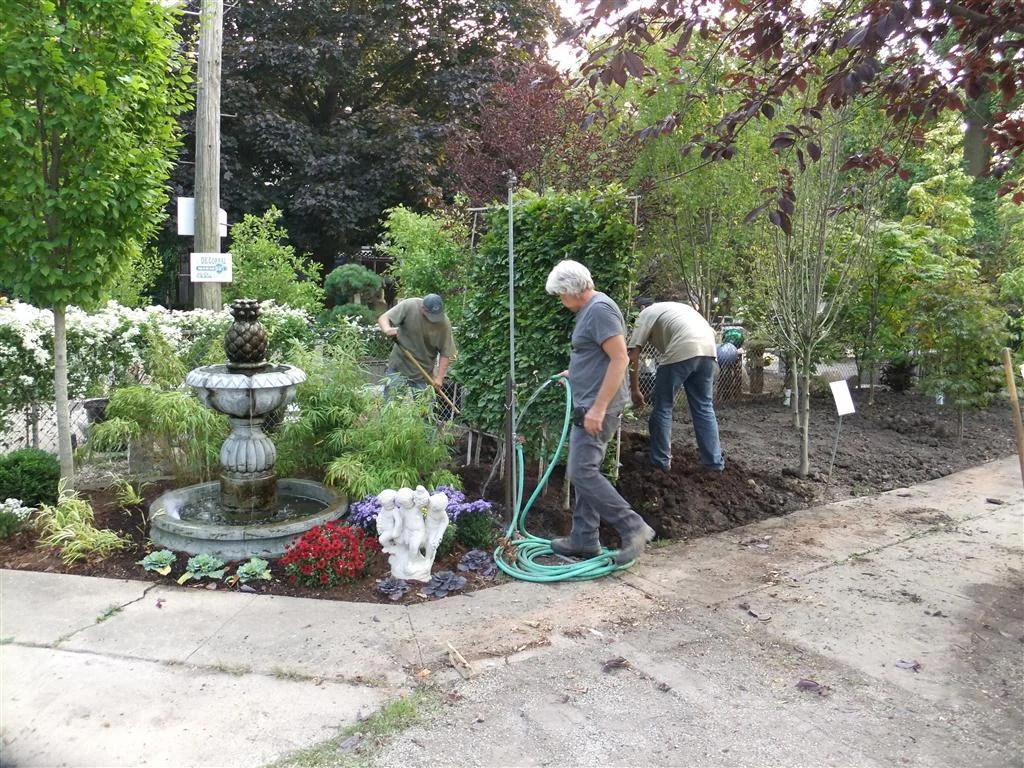 dscf0207 (medium).jpg