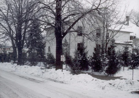 christmas trees 1948.jpg
