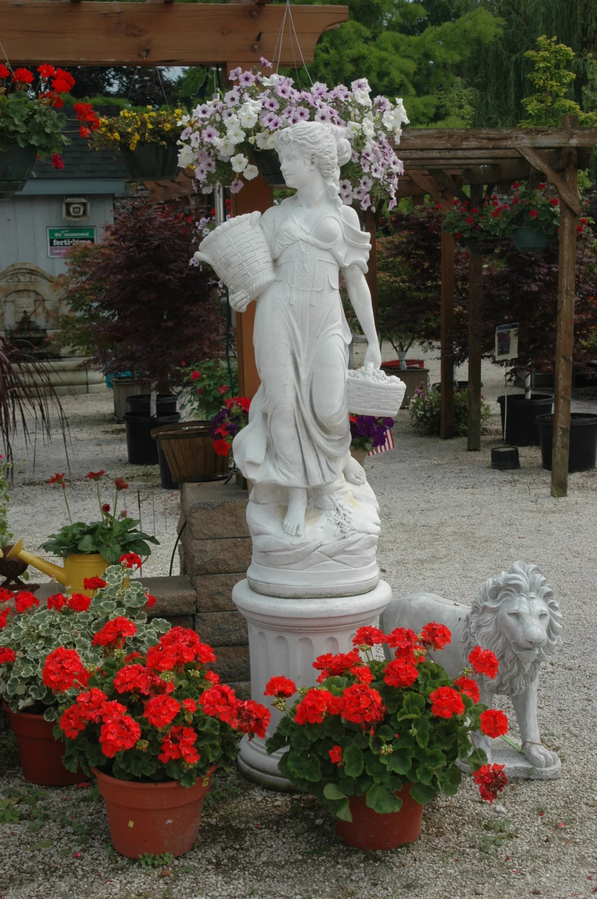 dsc_0036.jpg