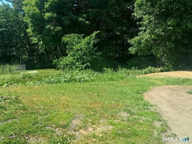 photo3.jpg