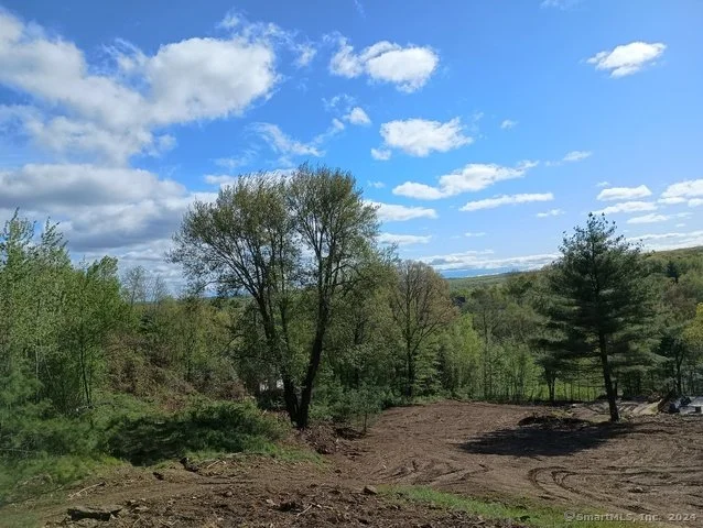View from a neighboring property at a lower elevation than the subject land to give an idea of the potential view