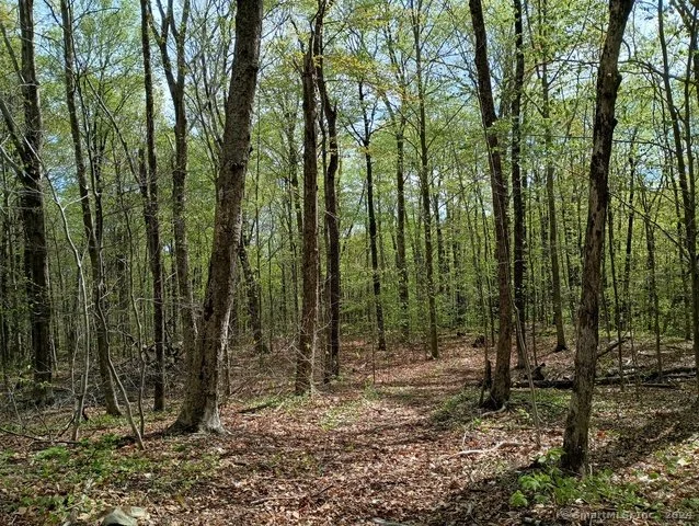 photo17.jpg