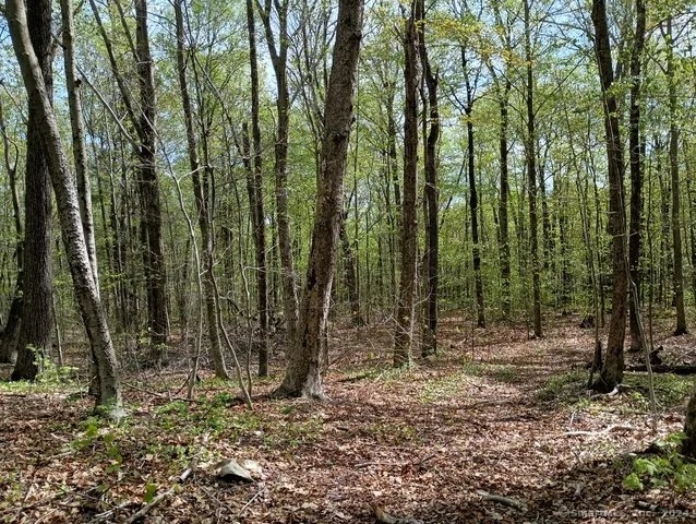 photo16.jpg