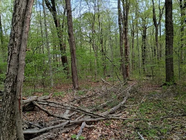photo12.jpg