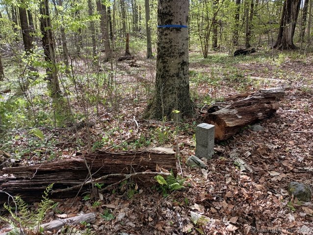 Town line and property boundary marker. Watertown/Bethlehem CT