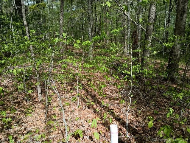 photo8.jpg