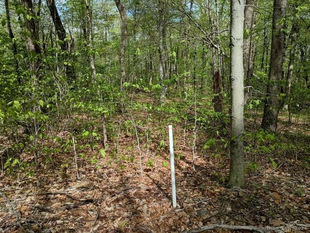 photo7.jpg